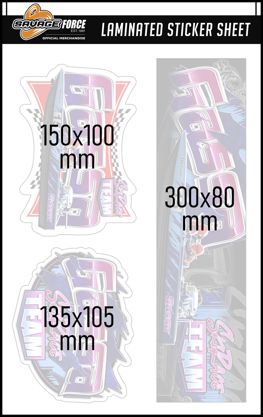Gassa Ski Race Team Sticker Sheet